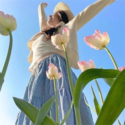 明珠游龙